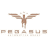 Logo Pegasus Automotive SA