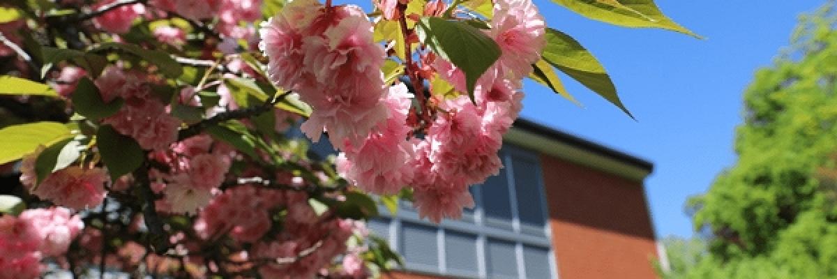 Fondation Eben-Hézer