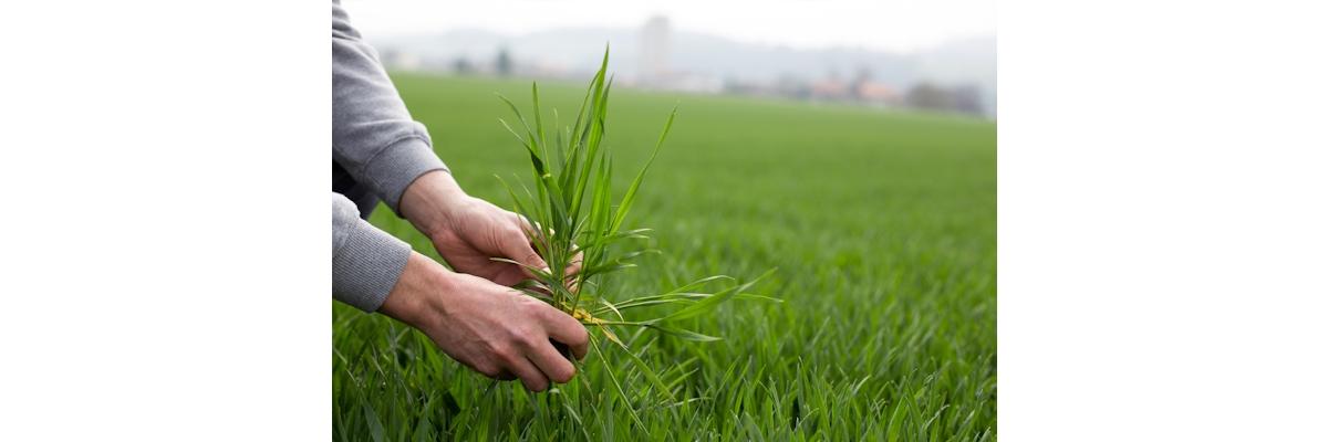 fenaco société coopérative